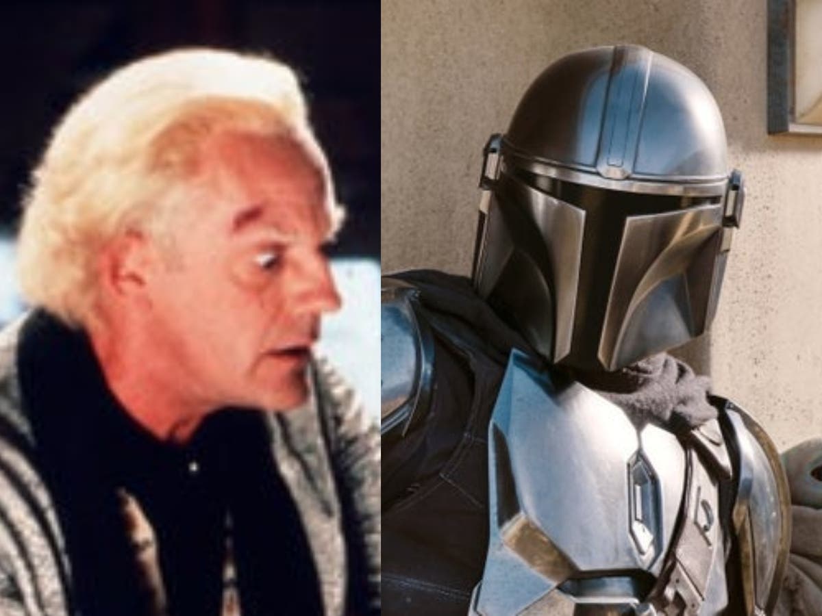 The Mandalorian Scifi fans thrilled as Back To the Future’s